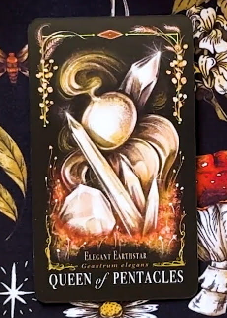 Midnight Magic: A Tarot Deck of Mushrooms